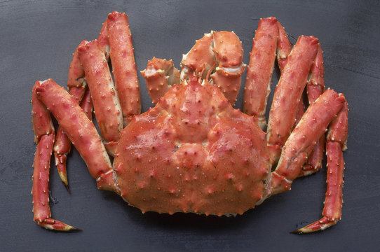 【北海道産】タラバガニ姿(約1.8kg)★ボイル冷凍★たらば タラバ 蟹足 たらば姿拍卖