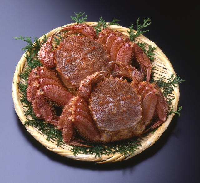 【北海道産】足折れ 大毛蟹2尾セット(約500g×2尾) ◆ボイル冷凍◆年末年始に◆旬 蟹味噌 正月 元日拍卖