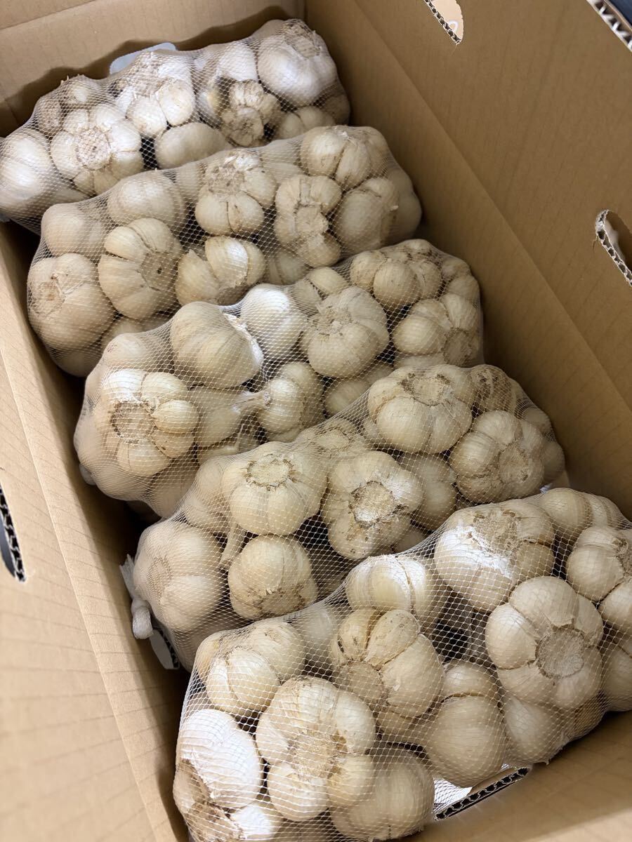 青森県産 福地ホワイト六片 にんにく M 玉 10kg 拍卖