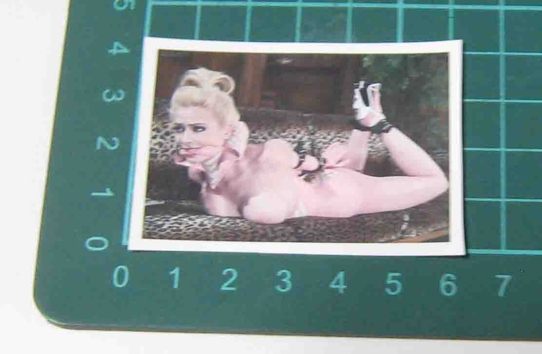 ブロンド美女 BDSM ステッカー拍卖