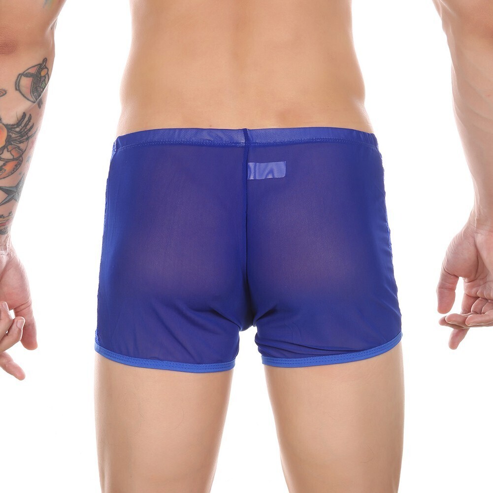 171-65-8 シースルー メッシュ レース ボクサーパンツ【ブルーMサイズ】男性 メンズ 下着 ブリーフ ゲイ インナー エロ 透け パンツ .1拍卖