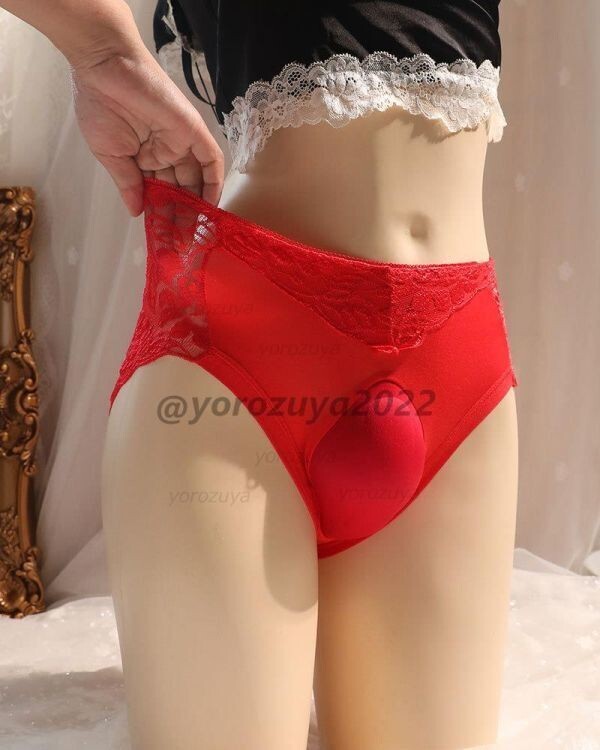 102-335-11 性転換 カップ付き ペニス型 3D 立体パッド 【レッドXL】メンズ レディース セクシー 下着 ランジェリー パンティー .1拍卖