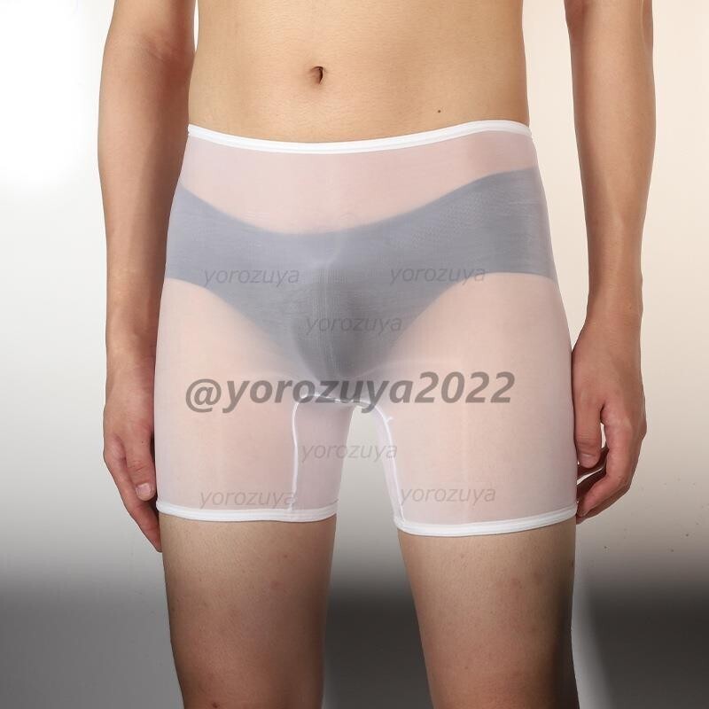 181-358-10 メンズ 光沢オイリー パンストボクサー【ホワイトFサイズ】男性 下着 エロ セクシー ブリーフ ショーツ アンダーウェア.2拍卖