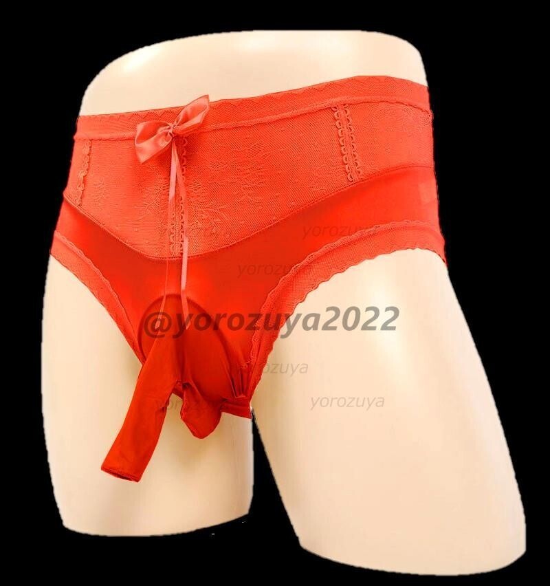 158-300-9 光沢 シルキー サオ付き レース ショーツ【レッドLサイズ】男性 メンズ 下着 パンツ ブリーフ ゲイ 男の娘 ランジェリー.1拍卖
