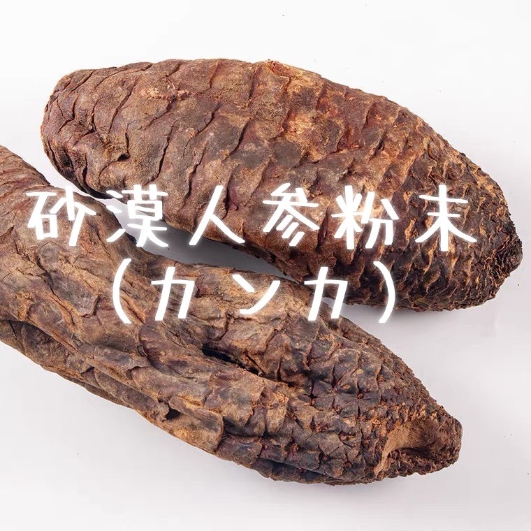 新疆ウイグル産砂漠人参粉末100g カンカ 人参 高麗人参 田七人参 マカ拍卖