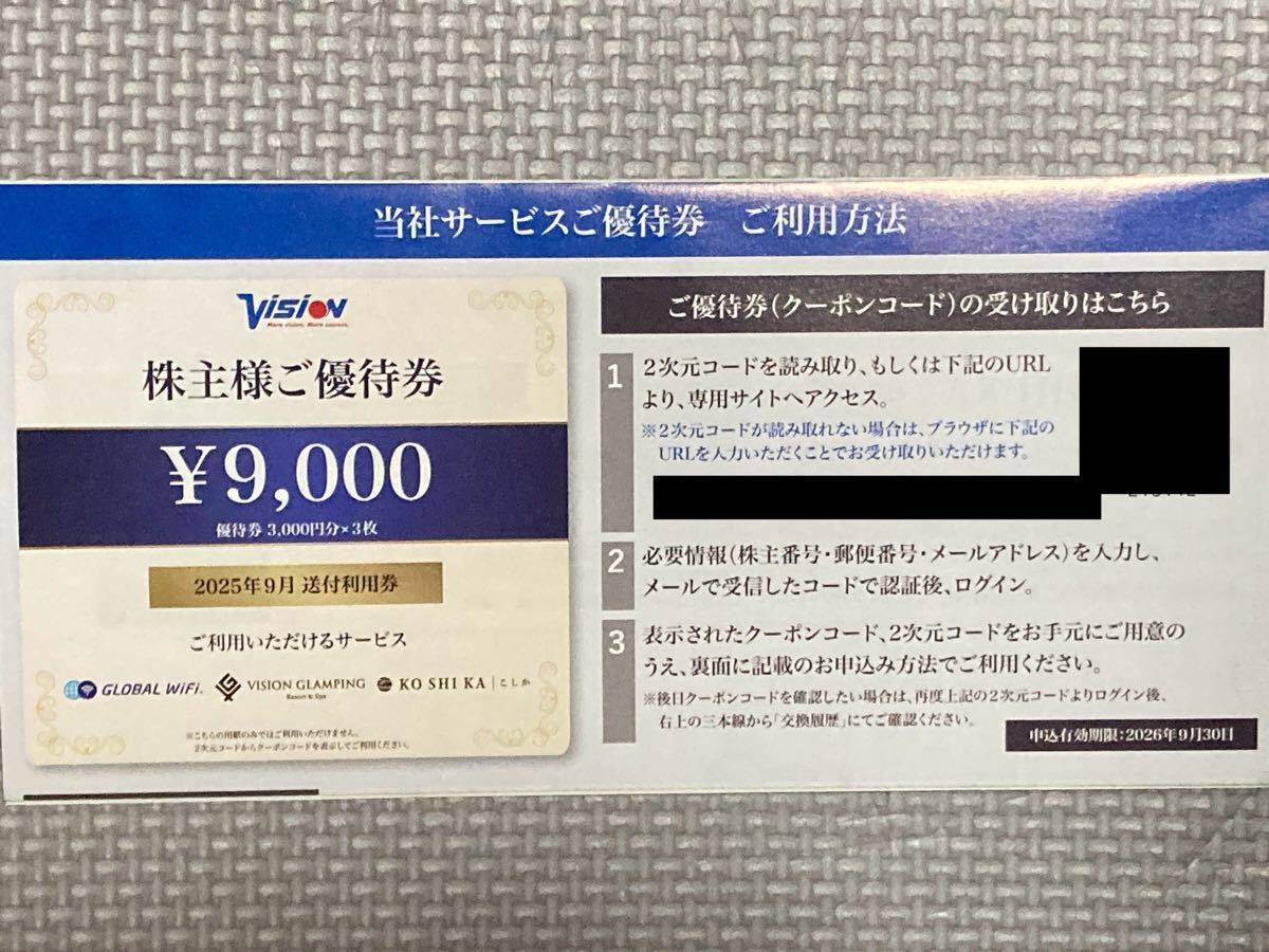 ビジョン 株主優待券 9000円分 Vision グローバルWiFi グランピング施設拍卖