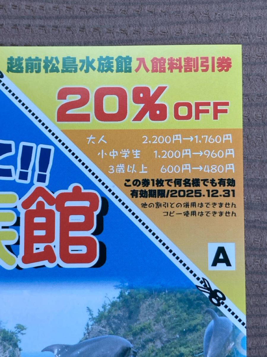 越前松島水族館 入館割引券 20%OFF拍卖