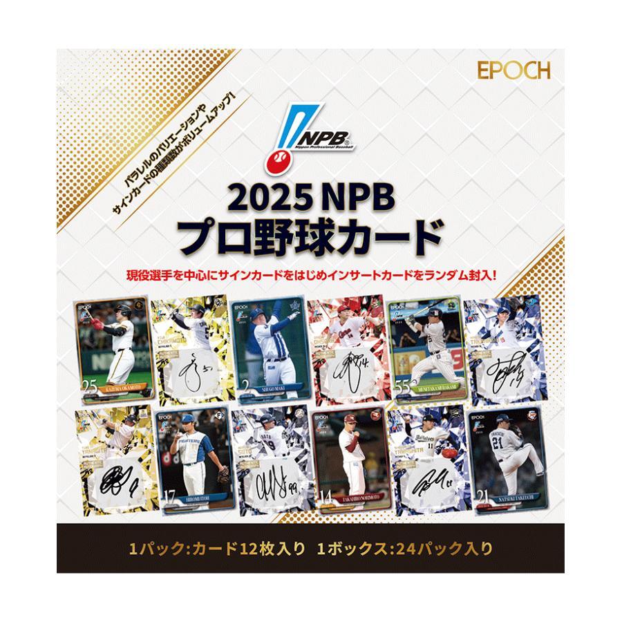 2025 EPOCH NPB エポック プロ野球 240種 レギュラーコンプリートセット 宗山 金丸 石塚 西川 柴田 渡部 今朝丸 モイセエフニキータ RC拍卖