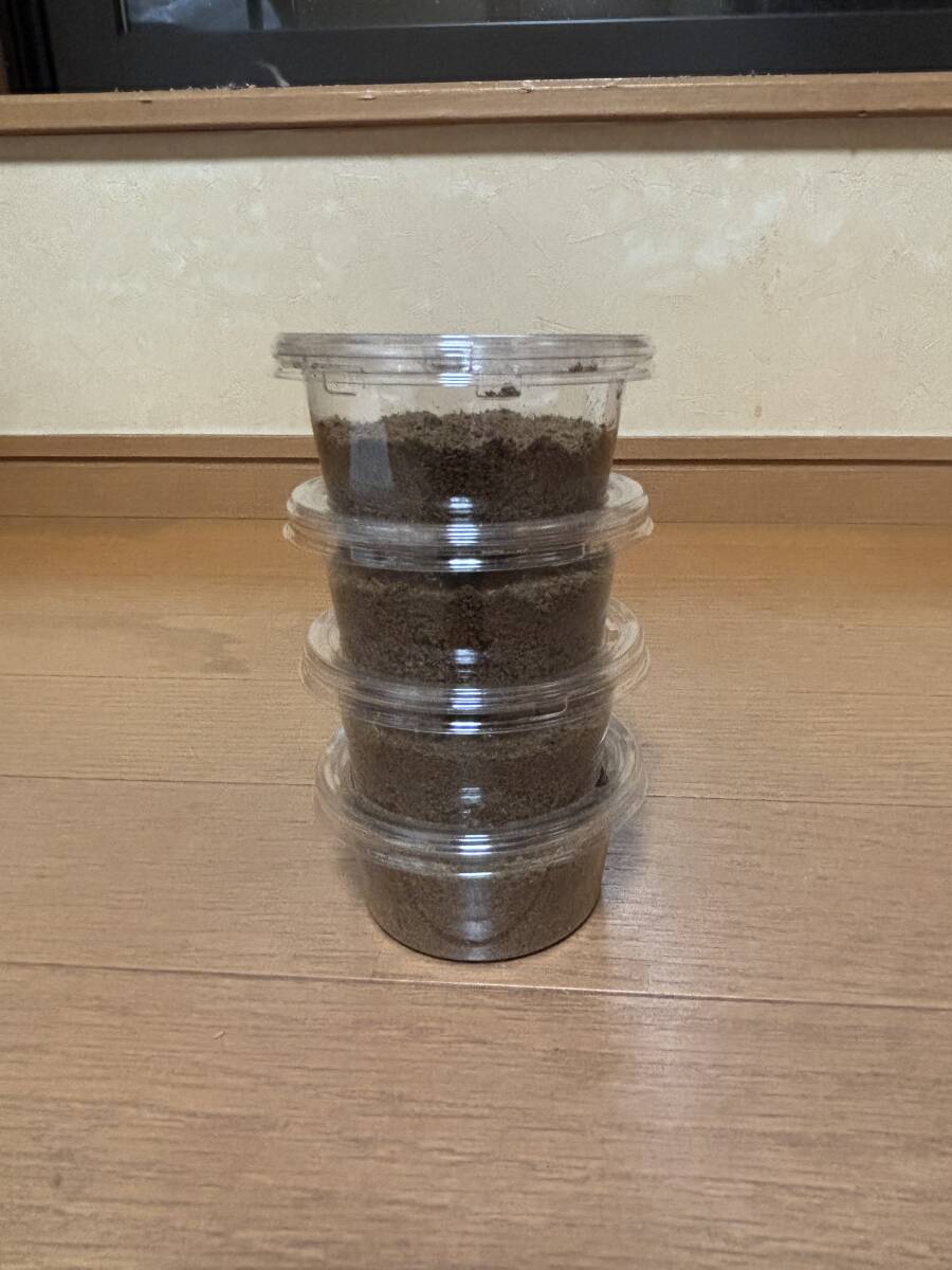 【Garda93.0sc血統】インドグランディス 初齢幼虫3頭+死着保証1頭 拍卖