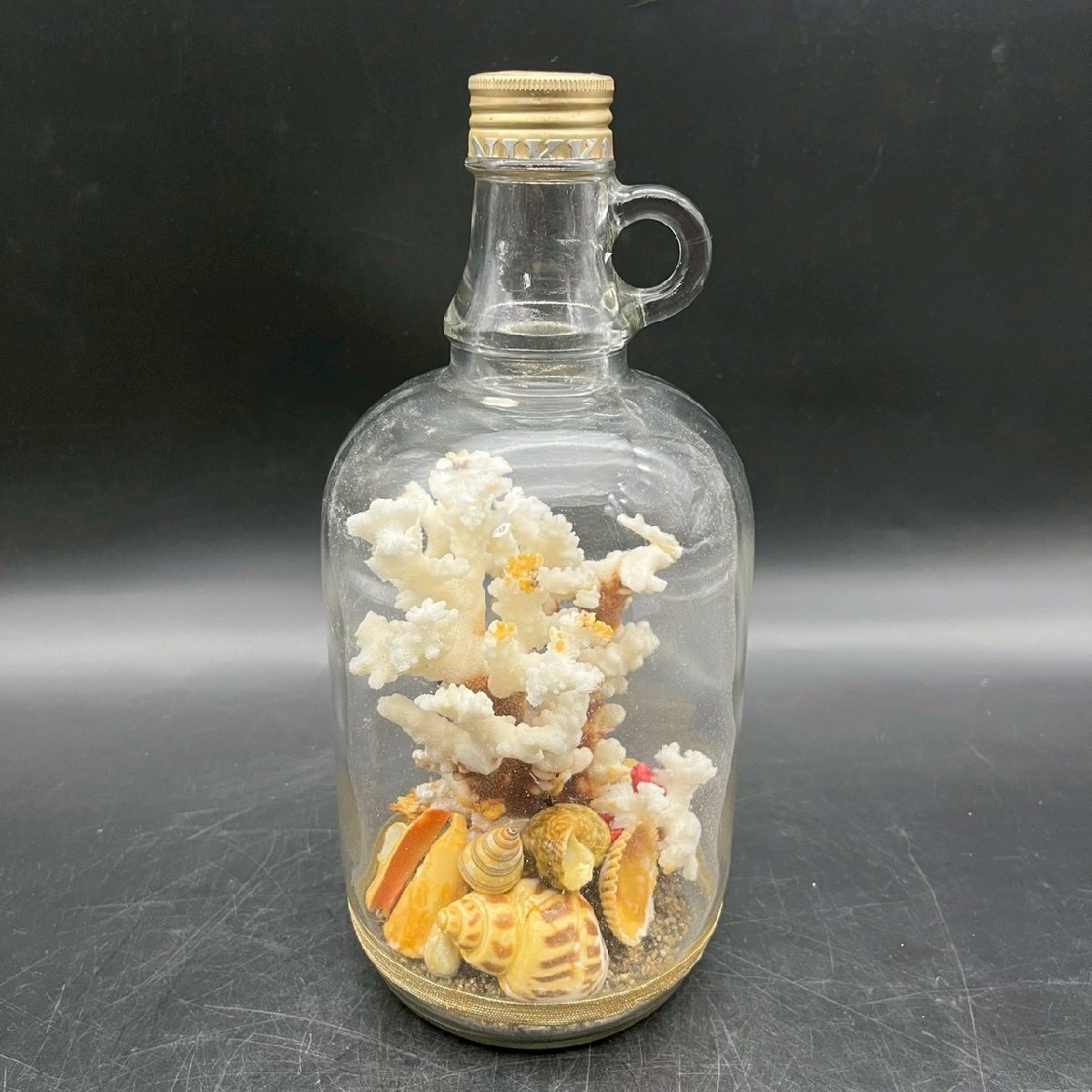 OM1006-24-3 サンゴ 瓶 ガラス ボトル 珊瑚 白珊瑚 自然 海 宝石 置物 鑑賞 工芸 美術 オブジェ インテリア 高さ27㎝ 直径11.5㎝ 80サイズ拍卖