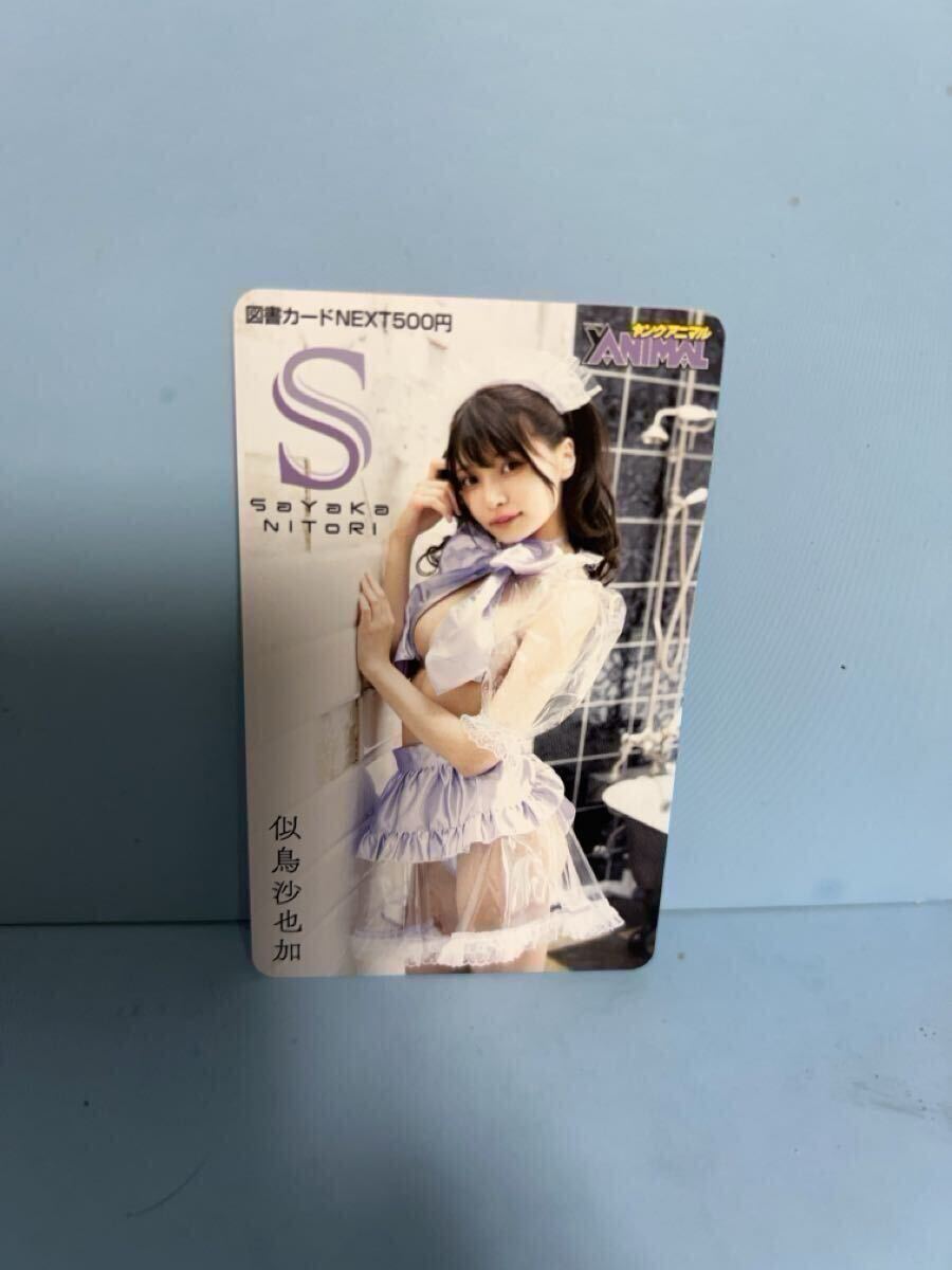 未使用 似鳥沙也加 シースルー下着 ヤングアニマル 抽プレ 図書カードNEXT拍卖