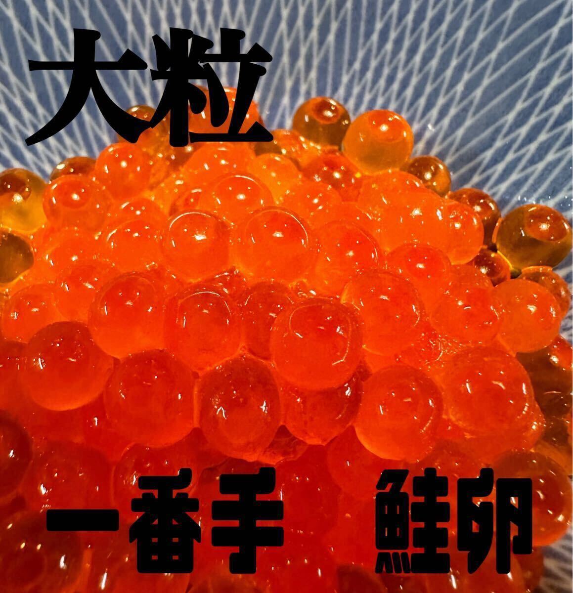 新物 チャム 大粒 一番手 鮭 サケ いくら イクラ 1㎏ 本州送料無料拍卖