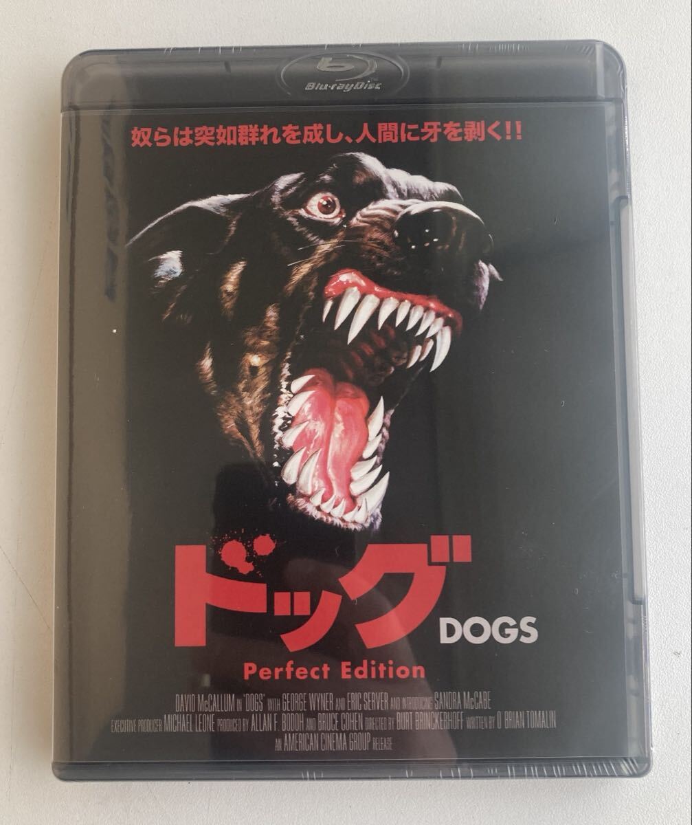 ドッグ 劇場縮小パンフレット付きBD廃盤入手困難品拍卖
