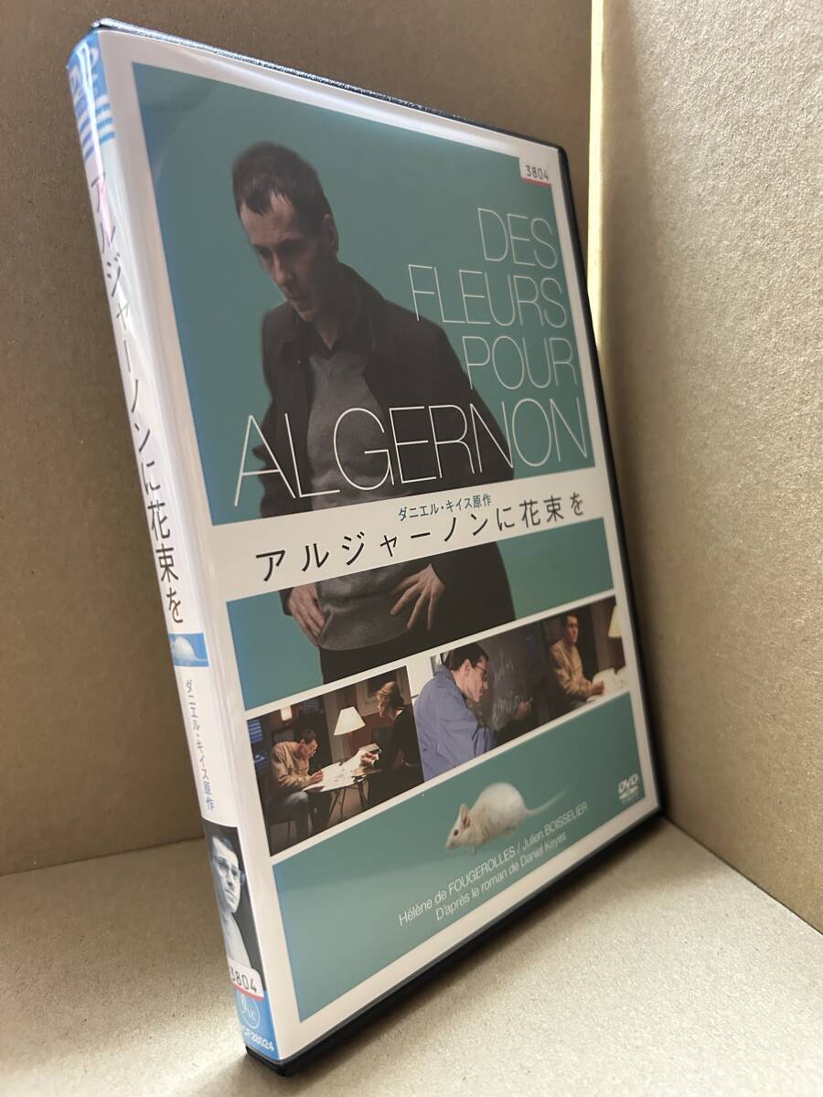 ★送料無料★ アルジャーノンに花束を / ジュリアン・ボワスリエ拍卖