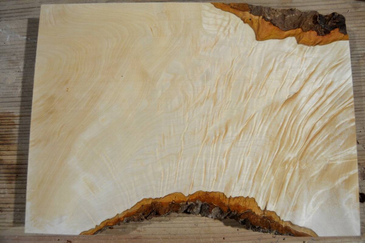 長33*幅19-23*厚1.3 トチ2の木材木工材,一枚板DIY銘木花台 プレート 栃拍卖