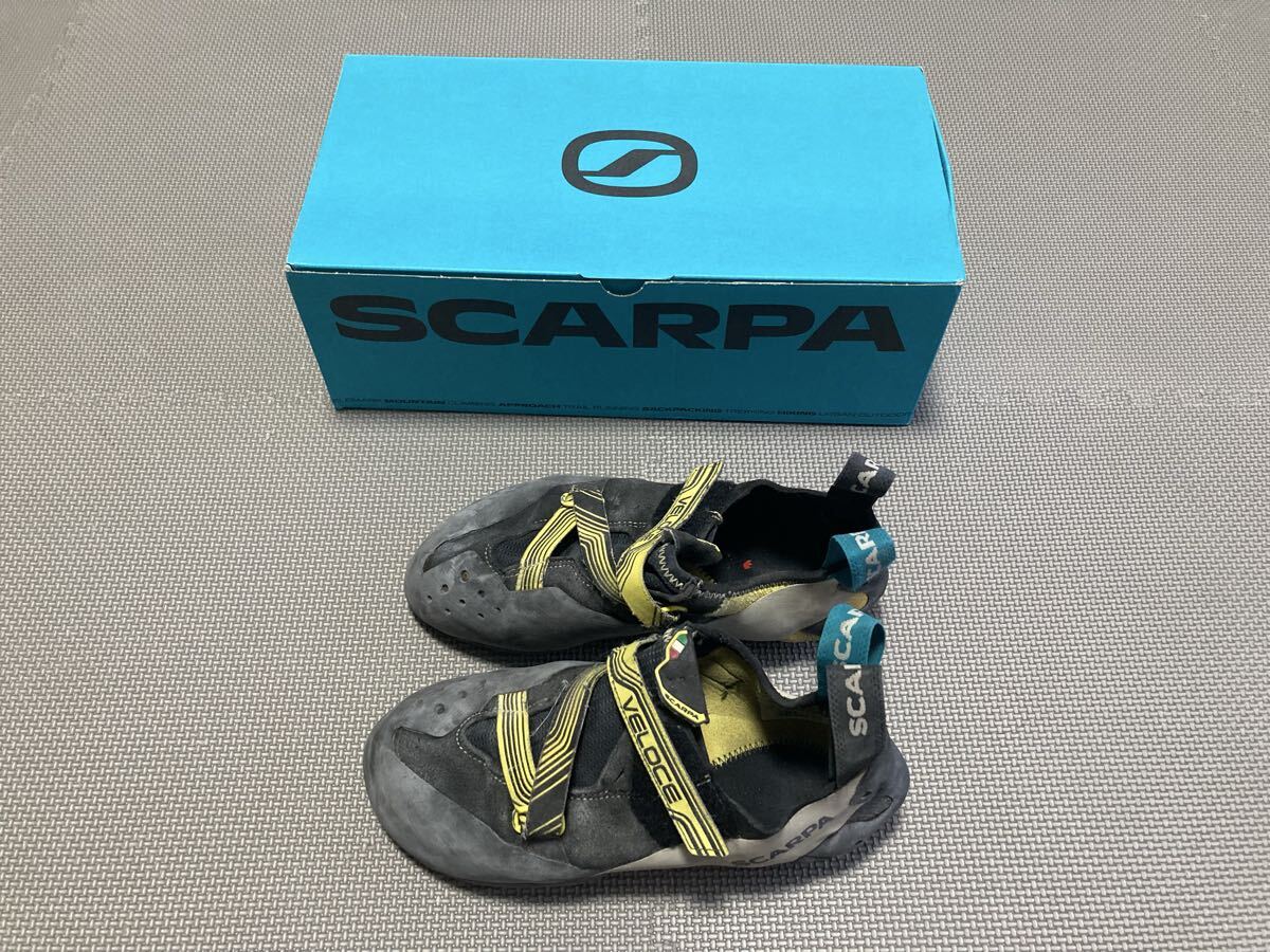 スカルパ ベローチェ (SC20230) クライミングシューズ ボルダリング インドアクライミング向け EU39.5拍卖