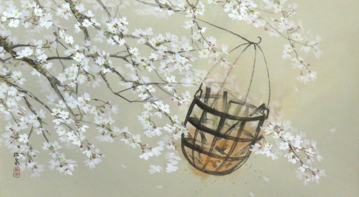 ◆◇掛軸 田中松泉 桜かがり 二尺横 現代作家新作掛軸 hanging scroll◇◆早春 春 茶道 日本画 JY1835拍卖