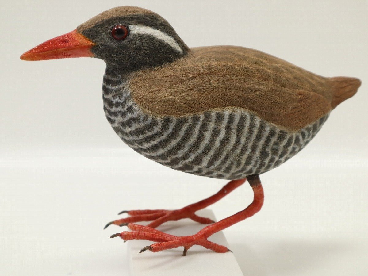 ヤンバルクイナ バードカービング デコイ 木製 細密彫刻 ハンドメイド 高さ約18㎝ 11-A012拍卖