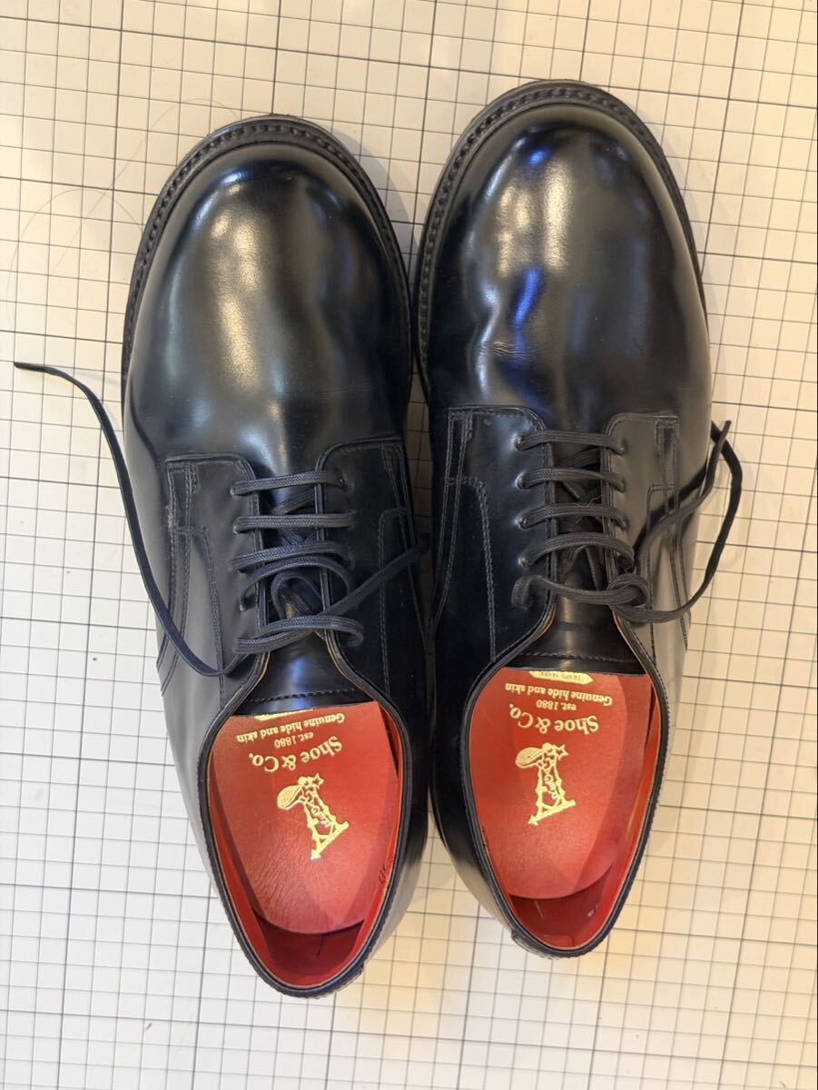 【未使用】REGAL Shoe & Co メンズ ドレスシューズ 黒 室内履きのみ【25.5】 リーガル ブラック ビジネスシューズ拍卖