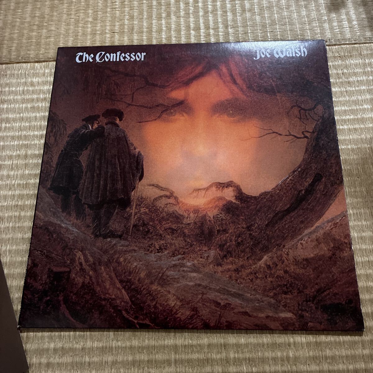 試聴済 見本盤 ★ジョー・ウォルシュ Joe Walsh★聖なる予言 THE CONFESSOR イーグルス 中古品★SAMPLE PROMO拍卖