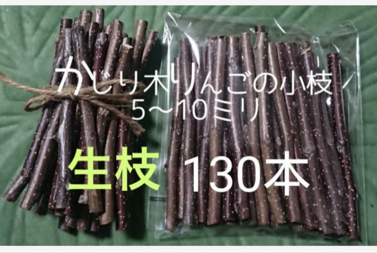 かじり木りんごの小枝130本 切りたて生枝拍卖