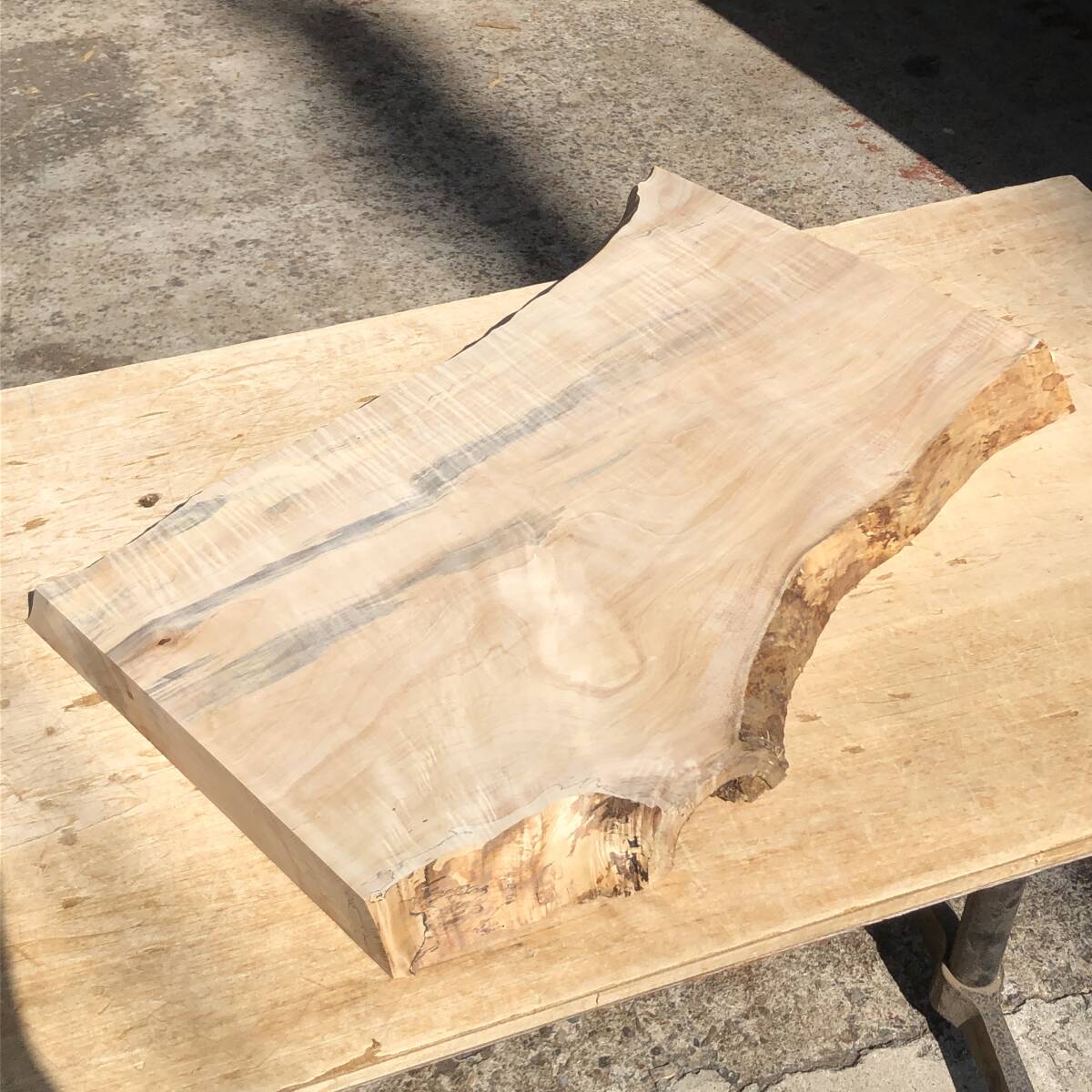 送料無料!栃【A629K】576~616×311~377×43mm トチ 橡 縮み杢 スポルテッド ブルーステイン 木工 天然木 木材 無垢材《銘木すずめや》拍卖