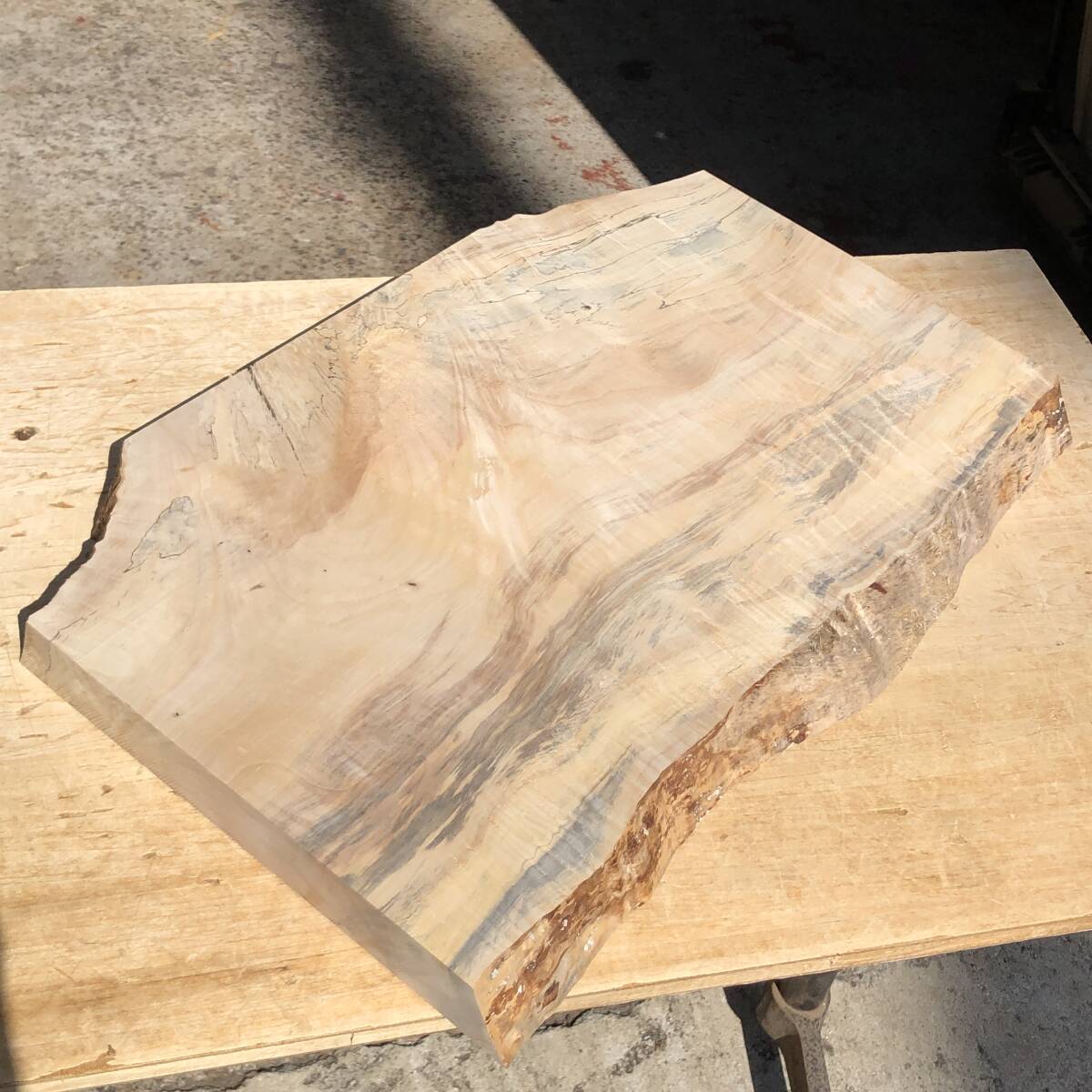 送料無料!栃【A630K】621~625×345~413×43mm トチ 橡 縮み杢 スポルテッド ブルーステイン 木工 天然木 木材 無垢材《銘木すずめや》拍卖