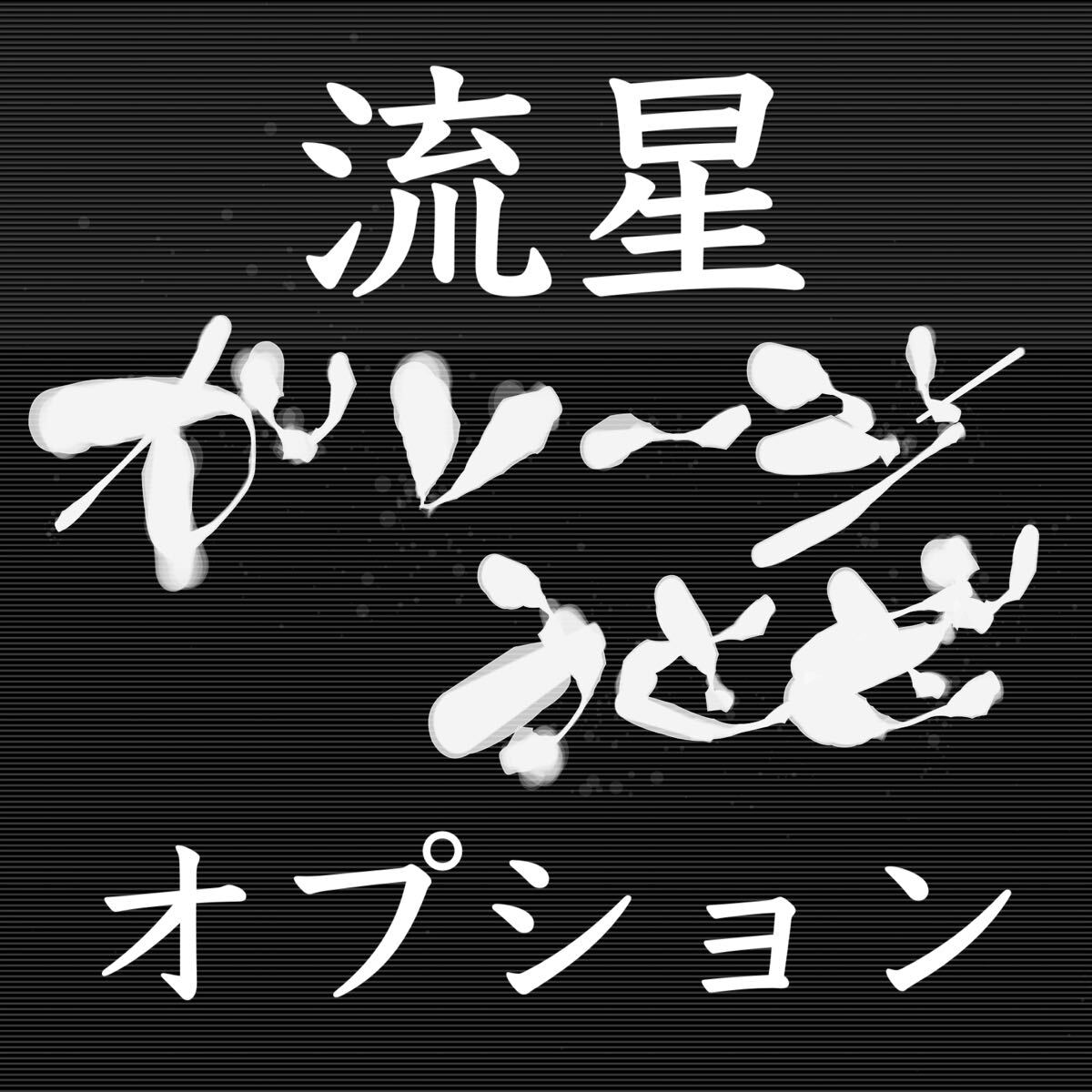 流星オプション拍卖