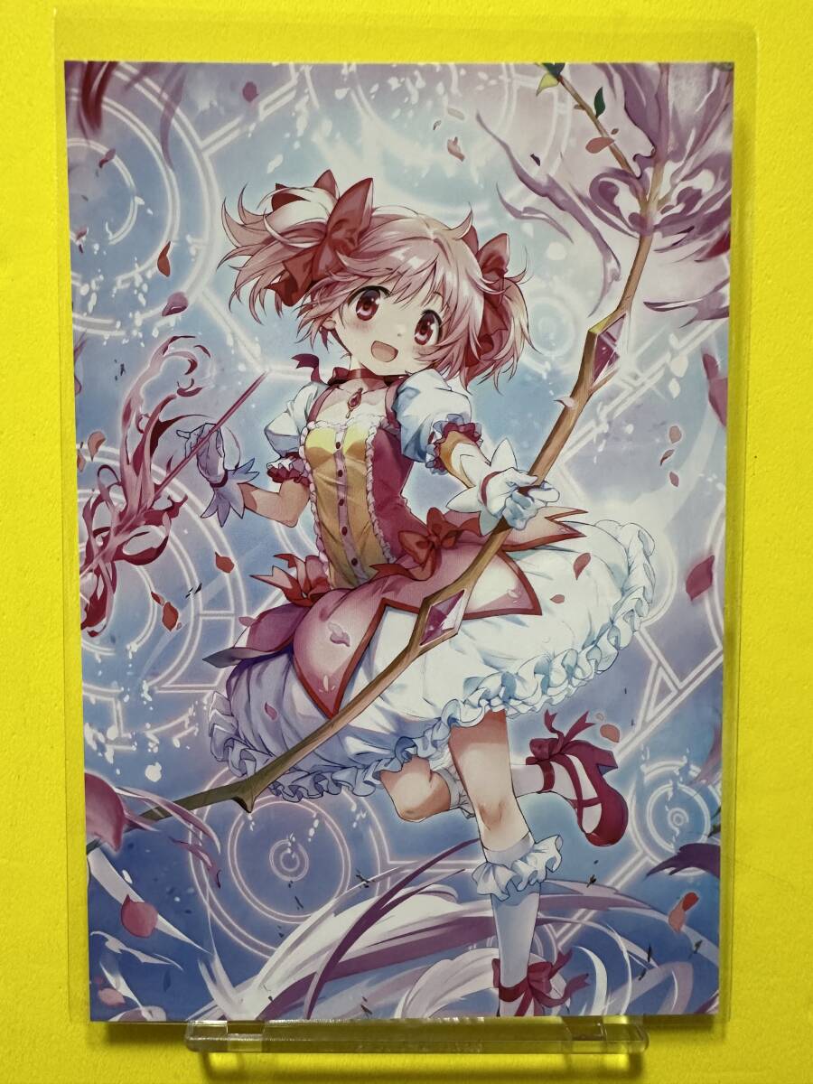 eeo Store まどか☆マギカ外伝 マギアレコード 8th 購入特典ポストカード 鹿目まどか拍卖