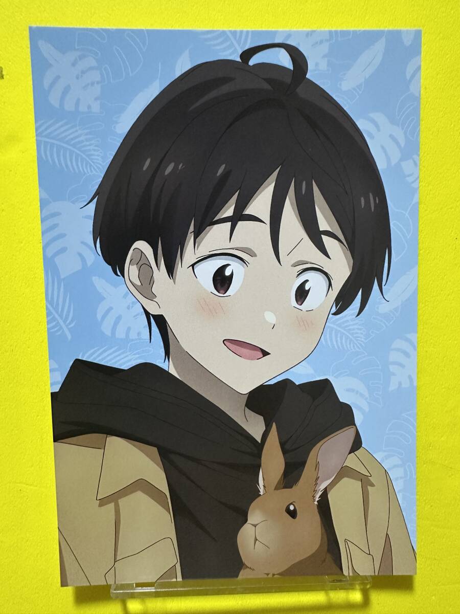 負けヒロインが多すぎるinのんほいパーク 豊橋市 購入特典ポストカード 温水和彦拍卖