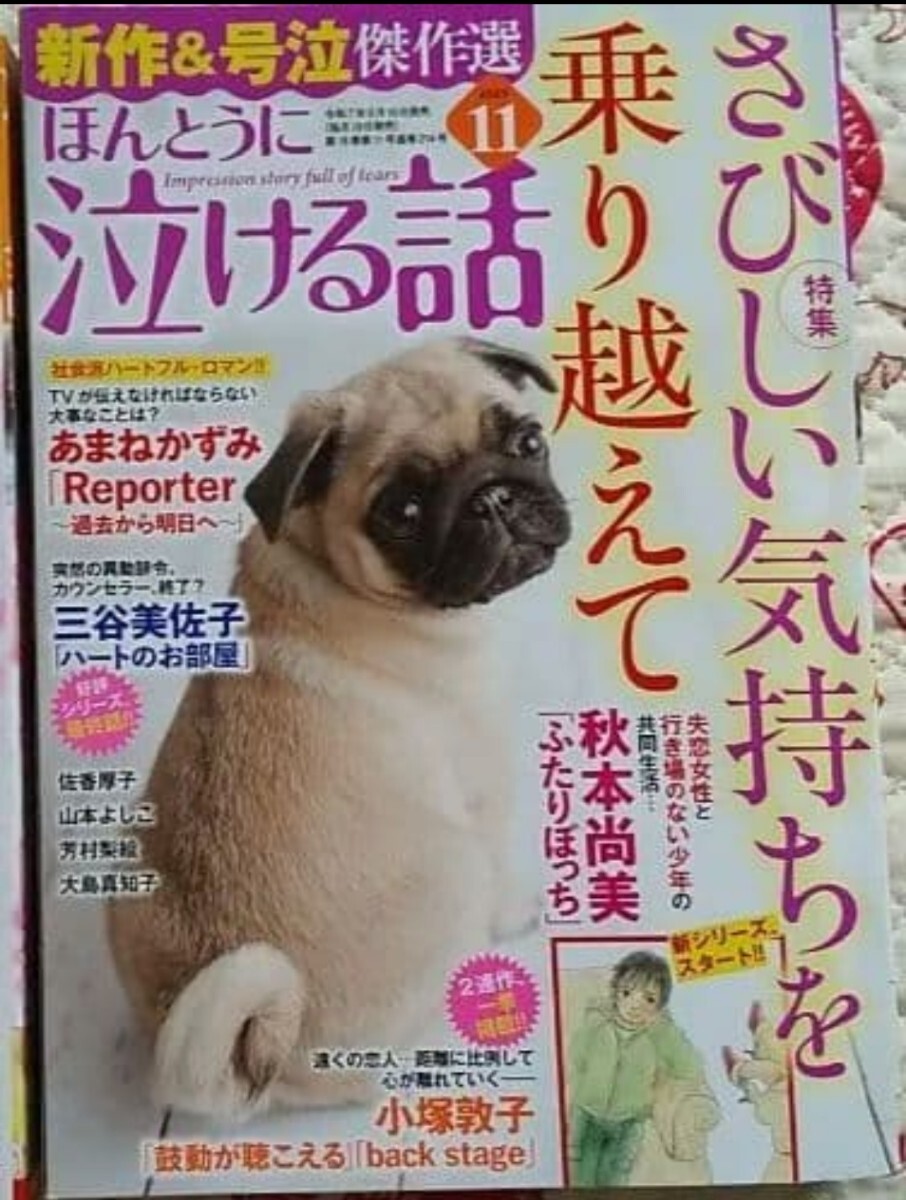 ほんとうに泣ける話 2025年 11月号 少し傷みあり拍卖