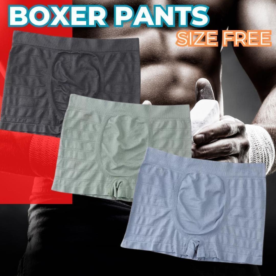 ボクサーパンツ ボクサーブリーフ 3枚 下着 パンツ 下着 ストレッチ 前閉じ拍卖