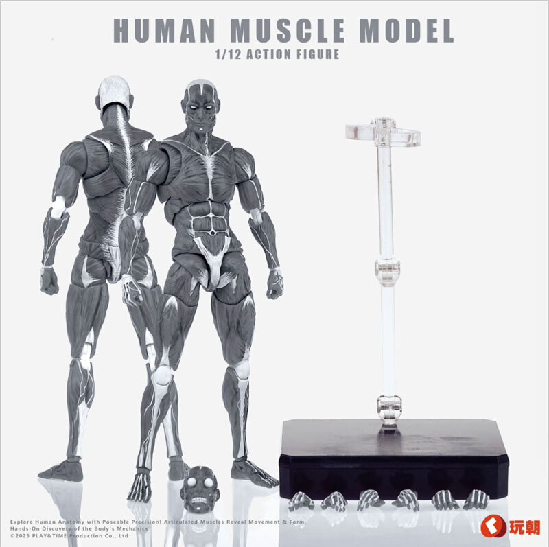 玩朝 HUMAN BODY Super Movable Muscle Man 筋肉人体 フィギュアボディグレイ デッサン人形 1/12スケールアクションフィギュア ボディ素体拍卖