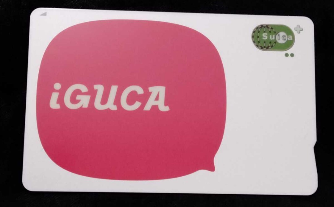 岩手県北バス IGUCA イグカ 残高なし デポジットのみ SuicaPASMOICOCA等交通系ICカード 送料110円拍卖