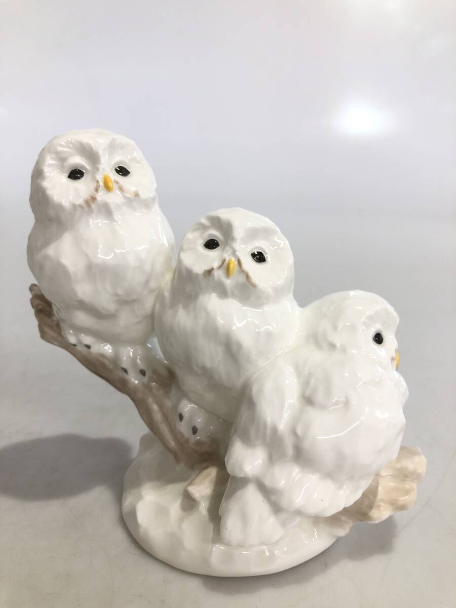 HB5433 ノリタケ Noritake フクロウ bone china made in japan HAND PAINTED 梟拍卖