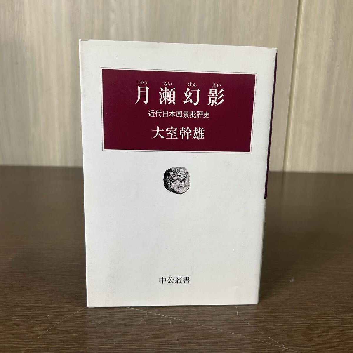 月瀬幻影 近代日本風景批評史 大室幹雄 中公叢書 中央公論新社拍卖