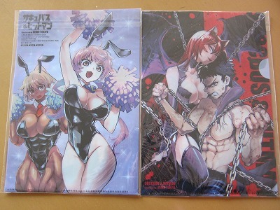 即決★2枚組★サキュバス & ヒットマン 両面クリアファイル チャンピオンRED 2025年11月号付録 新品未開封品★送198~拍卖