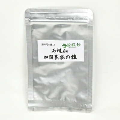 盆栽の種 石鎚山 四国黒松の種 約10粒 種子 種から育てる盆栽冊子付き拍卖