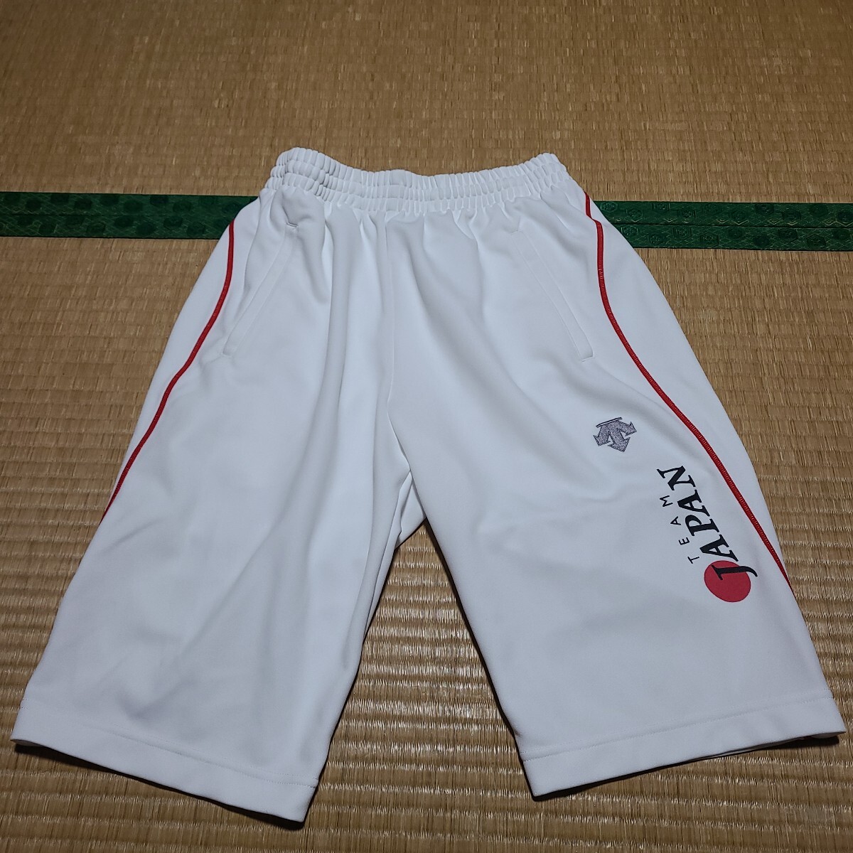デサント トレーニング パンツ サイズL Team Japan DESCENTE拍卖