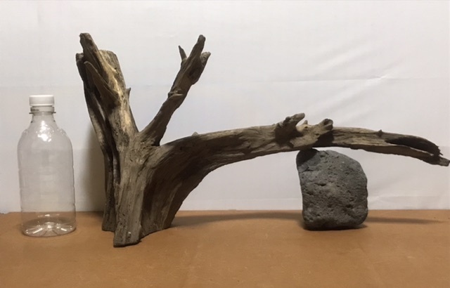 Q2 【即決】天然淡水流木 煮沸消毒剤み ハンドメイド インテリア アート オブジェ インテリア 素材 流木 拍卖