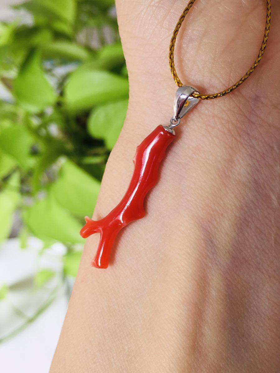 K18 サンゴ 珊瑚 ネックレス、ペンダント拍卖