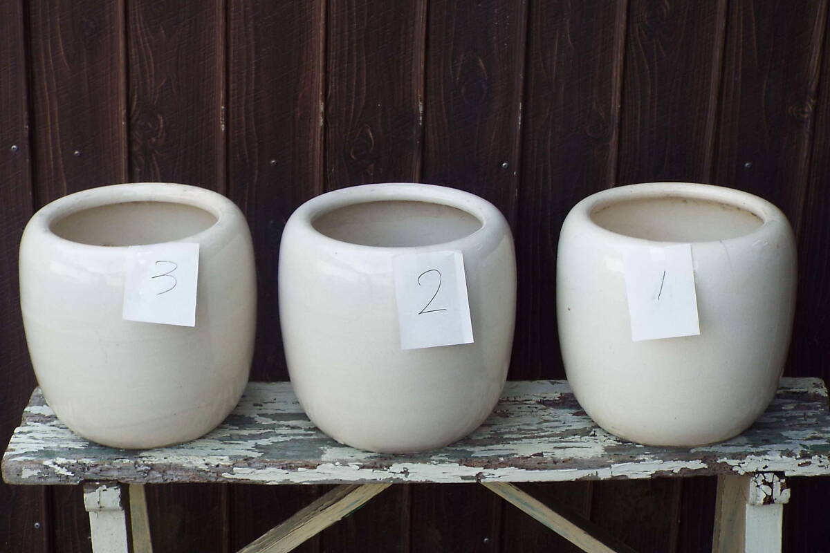 火鉢 白 26×26 (1) 一つの販売拍卖