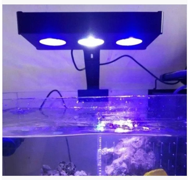 LED 水槽ライト アクアリウムライト 海水魚 サンゴ 海水槽 照明 調光 LED3個 高光度 長寿命 強力 水族館 組立簡単拍卖