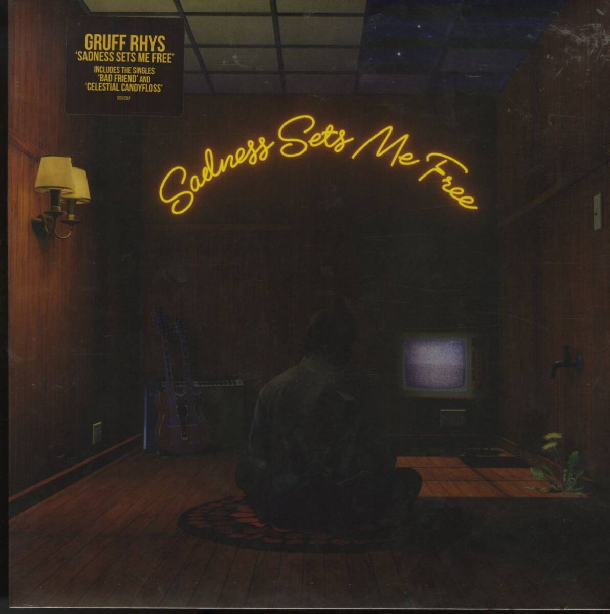 シールド未開封!ハイプ付き UK盤 2024年プレス Gruff Rhys / Sadness Sets Me Free【Rough Trade / RT0420LP】Super Furry Animals拍卖