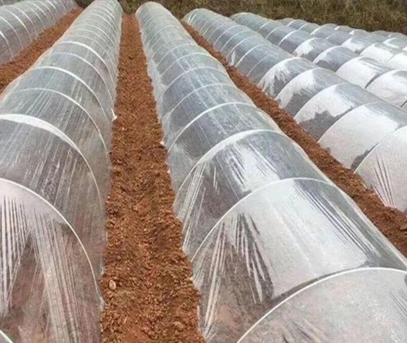 新入荷透明プラスチックフィルム屋根用ビニールハウス替えシート天幕PEカバー 厚さ0.12mmの耐久性ラスチックフィルム植物栽培幅2m×長さ15m拍卖