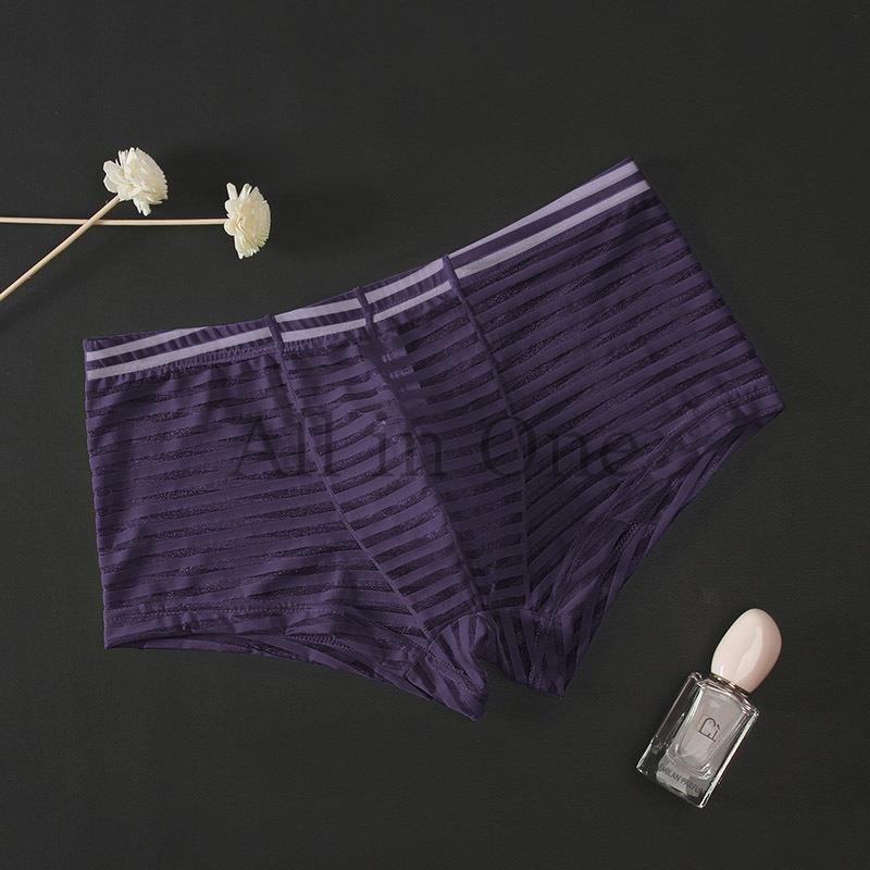 97-225-6 透けボーダー メンズ ボクサー パンツ 【グレパXLサイズ】男性 下着 ショーツ セクシー インナーウェア スケスケ パンツ.3拍卖