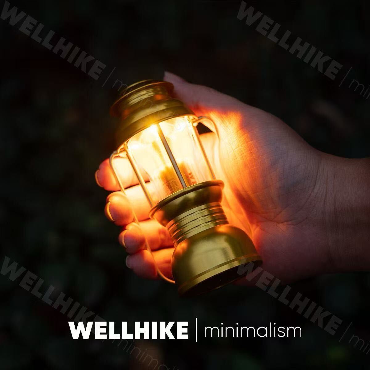 真鍮製 超激レア Goal Zero ゴールゼロ専用 ランタンシェード キャンプ アウトドア 野外登山 6×12cm 重量感530g 拍卖