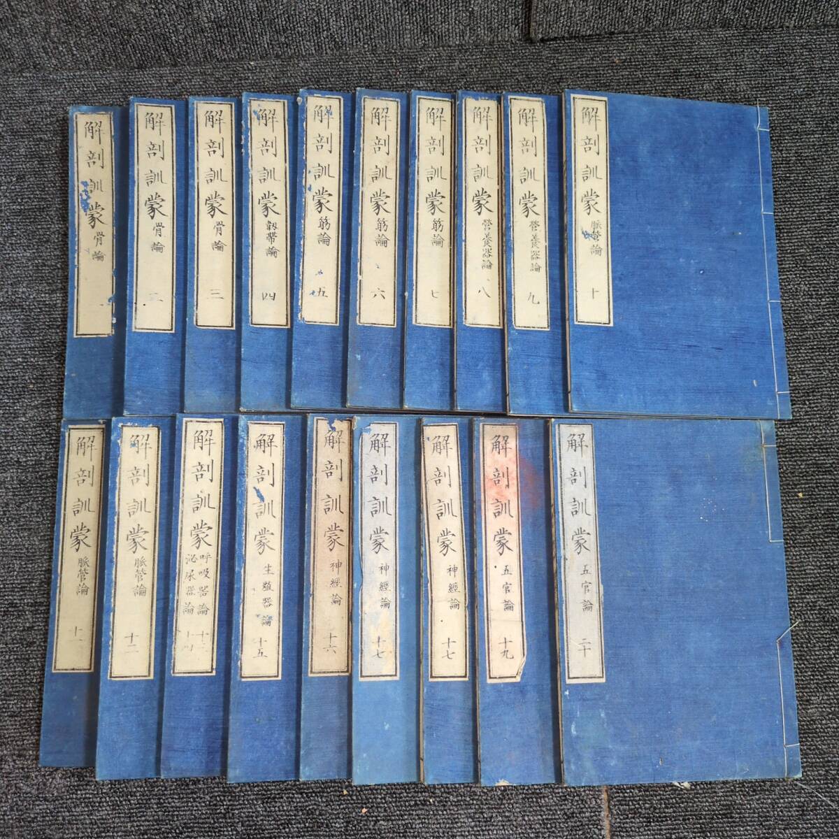 YS29 解剖学 医学◆解剖訓蒙◆全20巻19冊揃 西洋医書 病理 人体 薬学 松村矩明 明治 時代物 木版 骨董 古美術 古典籍 古文書 和本 古書拍卖