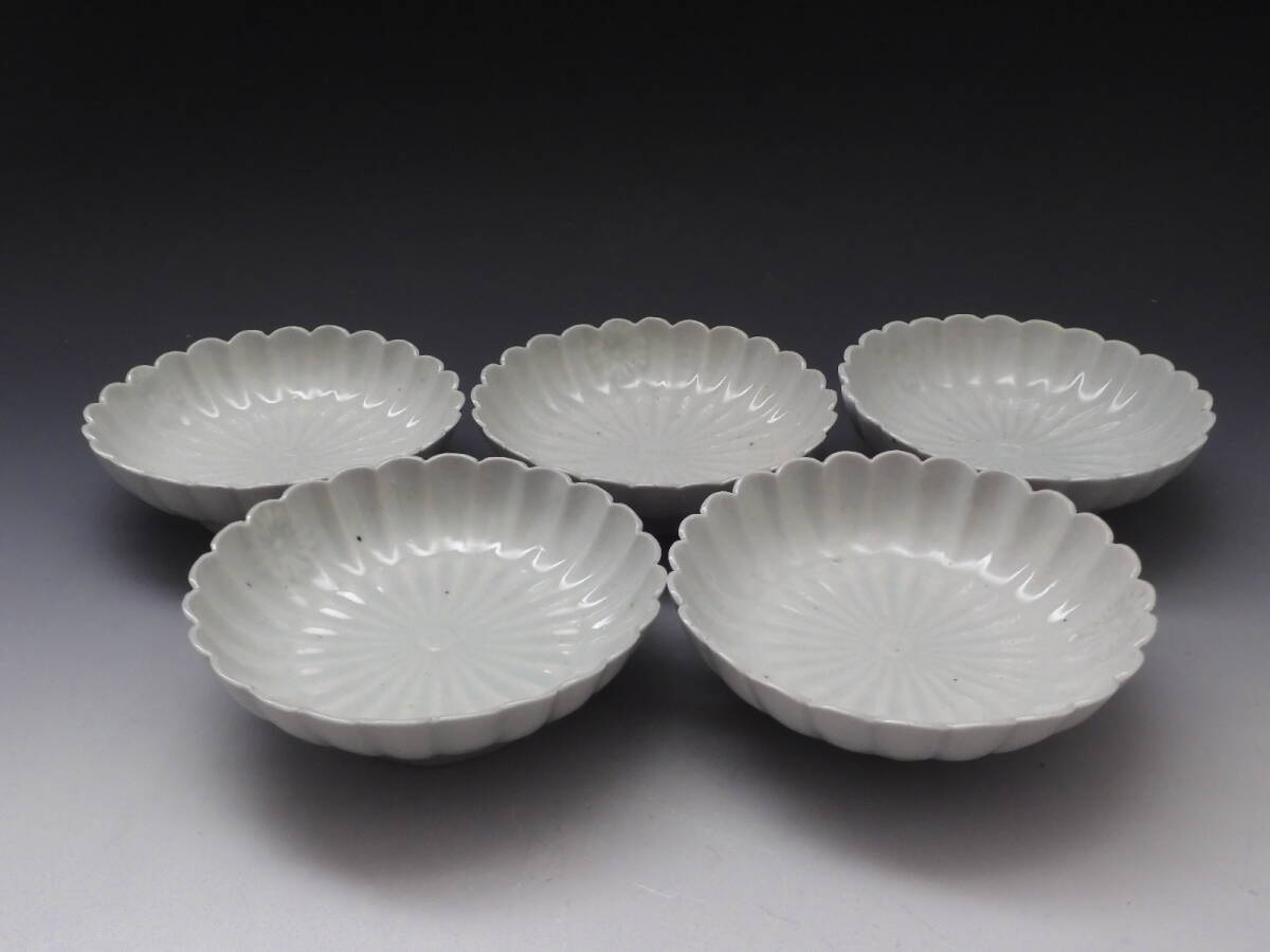 ◇桔◇時代 柿右衛門 白磁 陽刻 花文 輪花 飾皿 5客 15cm 江戸期 K418拍卖