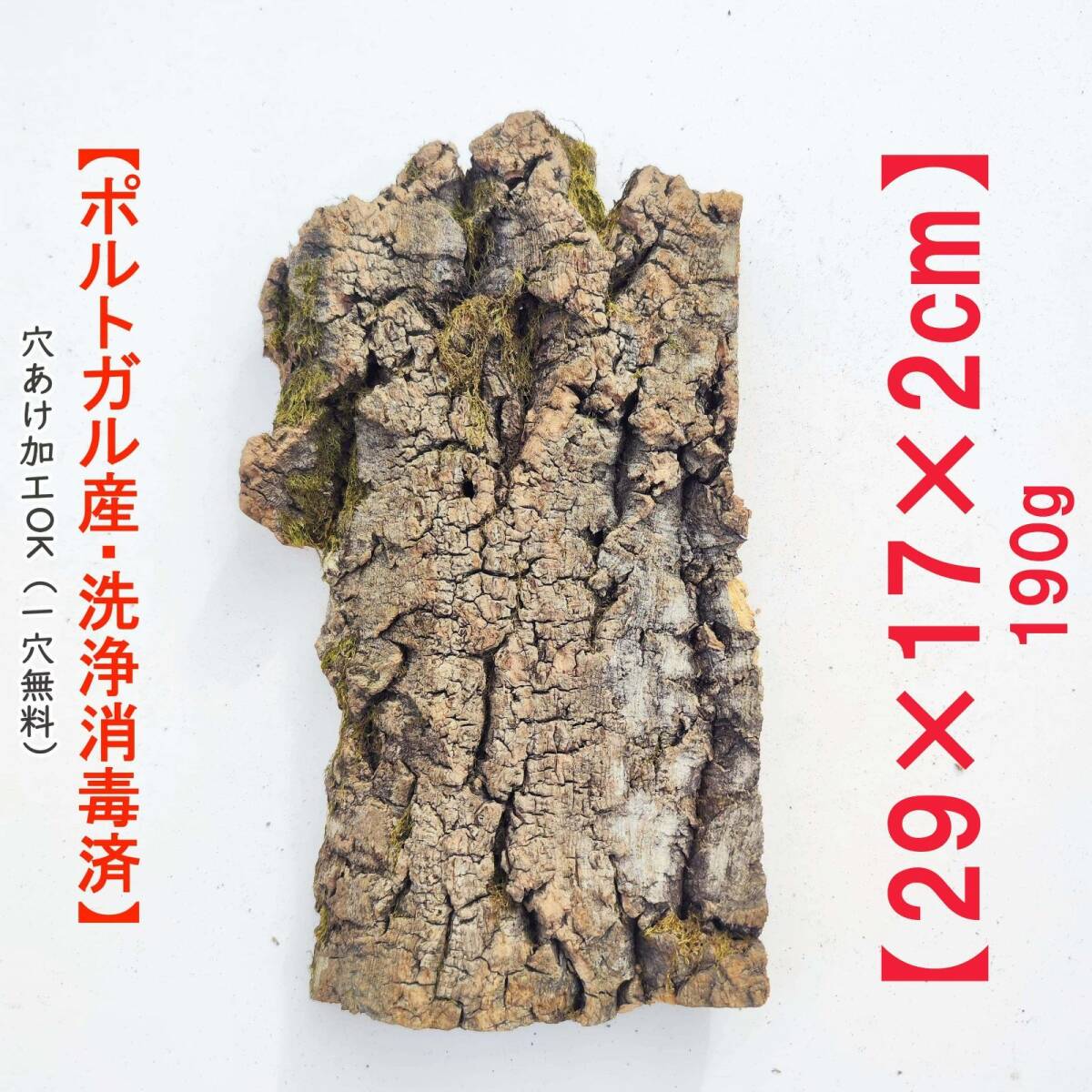 c768 お買得品 ポルトガル産 厚め コルク樹皮 コルク板 バージンコルク 送料無料 チランジア ビカクシダ 着生ラン 両生類 爬虫類拍卖